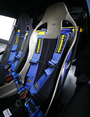 Harnesses