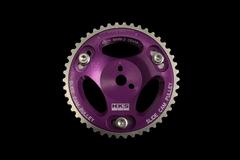 HKS SLIDE CAM PULLEY B6/BP