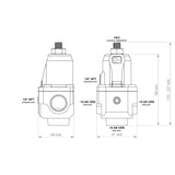 Nuke Performance FPR100x AN-10 Fuel Pressure Regulator