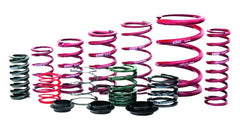 Eibach ERS 12.00 in. Length x 2.50 in. ID Coil-Over Spring