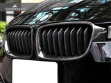 AUTOTECKNIC REPLACEMENT DUAL-SLATS CARBON FRONT GRILLES - F30 3-SERIES SEDAN | F31 3-SERIES WAGON