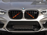 AUTOTECKNIC REPLACEMENT DRY CARBON GRILLE SURROUNDS - F97 X3M | F98 X4M