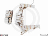 GTHAUS MEISTERSCHAFT Ferrari F458 V8 Coupe / Spider - SGT (Super GT Racing Meist Ultimate Version) SUS Exhaust 3x102mm